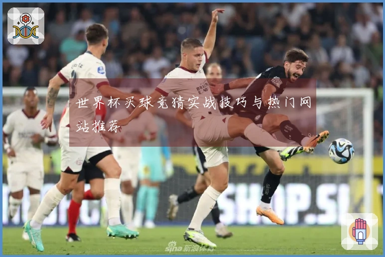 世界杯买球竞猜实战技巧与热门网站推荐