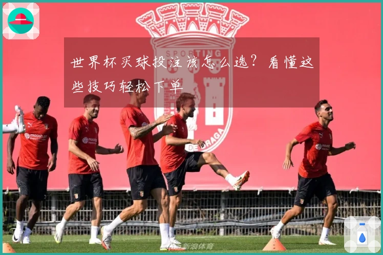 世界杯买球投注该怎么选？看懂这些技巧轻松下单
