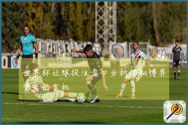 世界杯让球投注盘口分析揭秘博弈背后的玄机