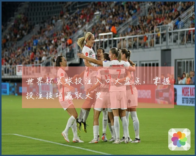 世界杯买球投注入口大盘点，掌握投注技巧赢取大奖