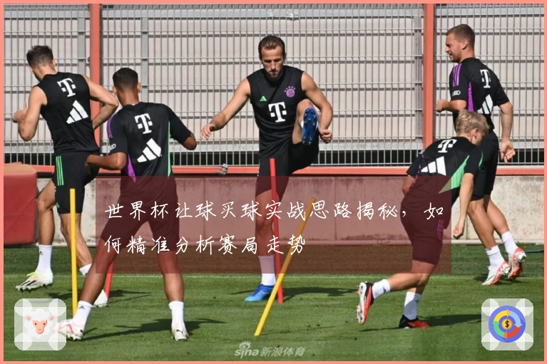 世界杯让球买球实战思路揭秘，如何精准分析赛局走势