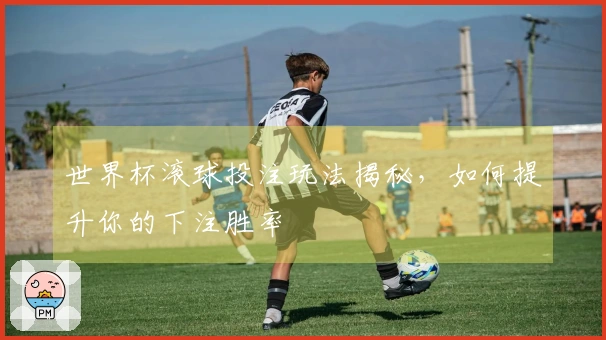 世界杯滚球投注玩法揭秘，如何提升你的下注胜率