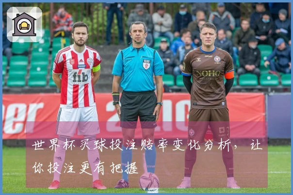 世界杯买球投注赔率变化分析，让你投注更有把握