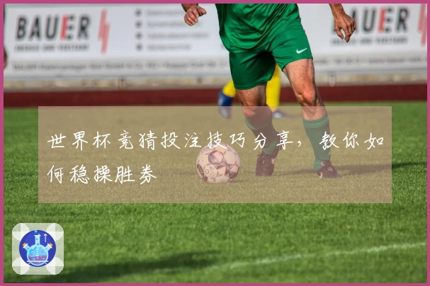 世界杯竞猜投注技巧分享，教你如何稳操胜券